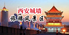 bbw18xxx中国陕西-西安城墙旅游风景区