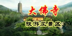 看女人的日逼片子中国浙江-新昌大佛寺旅游风景区